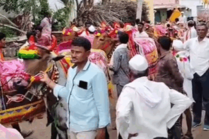 ಎತ್ತುಗಳು ರೈತರ ಜೀವನಾಡಿ:ರುದ್ರಮಣಿ ಖ್ಯಾಲಪ್