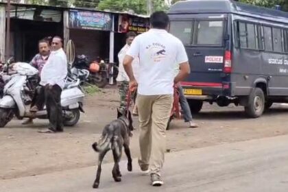 ಪೊಲೀಸ್ ಠಾಣೆ ಎದುರೆ ಕಳ್ಳರ ಕೈ ಚಳಕ, ದೇವರ ಹುಂಡಿ ಕದ್ದ ಖದಿಮರು