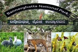 ಬನ್ನೇರುಘಟ್ಟ ಜೈವಿಕ ಪಾರ್ಕ್ ಗೆ ಬರಲಿವೆ 10 ವಿಶೇಷ ಅತಿಥಿಗಳು 