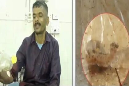 ಕಚ್ಚಿದ ಹಾವಿನೊಂದಿಗೆ ಆಸ್ಪತ್ರೆಗೆ ಬಂದ ಬೆಳಗಾವಿ ರೈತ