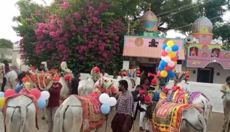 ಮುಂಗಾರು ಆರಂಭದ ಮೊದಲ ಹಬ್ಬವಾದ ಕಾರ ಹುಣ್ಣಿಮೆಯ ತಾಲೂಕಿನಾದ್ಯಂತ ಸಂಭ್ರಮ ಮುಂಗಾರು ಆರಂಭದ ಮೊದಲ ಹಬ್ಬವಾದ ಕಾರ ಹುಣ್ಣಿಮೆಯ ತಾಲೂಕಿನಾದ್ಯಂತ ಸಂಭ್ರಮ