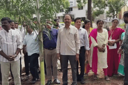 ಪಿಡಬ್ಲ್ಯೂಡಿ ಇಲಾಖೆಯವರಿಂದ ಪರಿಸರ ದಿನದಂದು ಸಸಿ ನಡುವ ಮೂಲಕ ಪರಿಸರ ದಿನಾಚರಣೆ ಆಚರಿಸಲಾಯಿತು