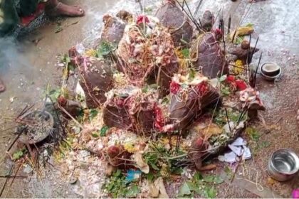 ನಾಗರಪಂಚಮಿ ಅತಿ ಸಡಗರ ಸಂಭ್ರಮದಿಂದ ಆಚರಣೆ