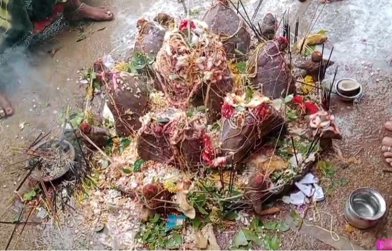 ನಾಗರಪಂಚಮಿ ಅತಿ ಸಡಗರ ಸಂಭ್ರಮದಿಂದ ಆಚರಣೆ ನಾಗರಪಂಚಮಿ ಅತಿ ಸಡಗರ ಸಂಭ್ರಮದಿಂದ ಆಚರಣೆ