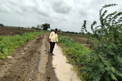 ಬೀರನಹಳ್ಳಿ ಮತ್ತು ಬೊಮ್ಮನಹಳ್ಳಿ ರಸ್ತೆ ಸುಧಾರಣೆ ಮಾಡುವಂತೆ ಗುಂಡಪ್ಪ ಮನವಿ.
