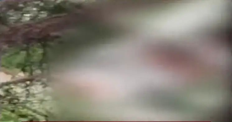 ದೇವಾಲಯದ ಉದ್ಯಾನವನದಲ್ಲಿ ಜೋಡಿ ರಾಸಲೀಲೆ : ವಿಡಿಯೋ ಸಹಿತ ದೂರು ದೇವಾಲಯದ ಉದ್ಯಾನವನದಲ್ಲಿ ಜೋಡಿ ರಾಸಲೀಲೆ : ವಿಡಿಯೋ ಸಹಿತ ದೂರು