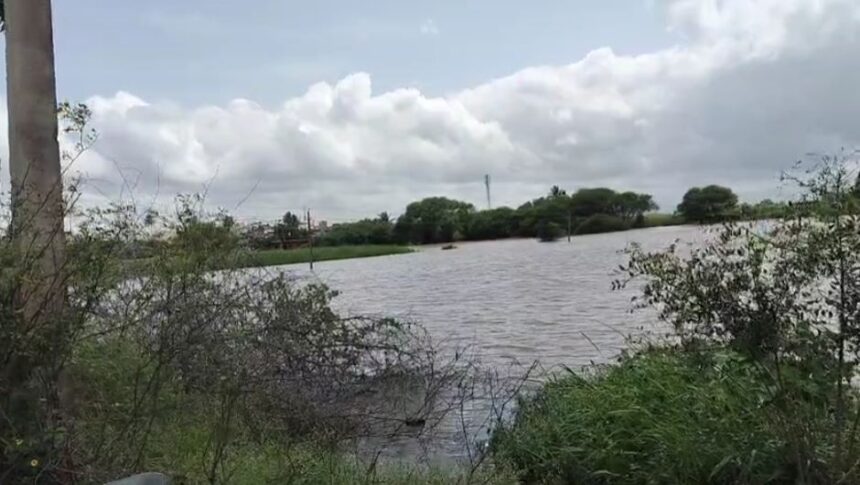 ಬೋರಗಾoವ ಸೇತುವೆ ಸಂಪೂರ್ಣ ಮುಳುಗಡೆ ಮೊಸಳೆ ಪ್ರತ್ಯಕ್ಷ ಬೋರಗಾoವ ಸೇತುವೆ ಸಂಪೂರ್ಣ ಮುಳುಗಡೆ ಮೊಸಳೆ ಪ್ರತ್ಯಕ್ಷ