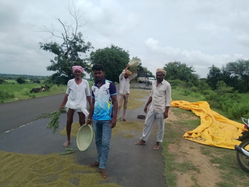 ಭಾರೀ ಮಳೆ: ಕಟಾವಿನಲ್ಲಿ ಹಂತದಲ್ಲಿದ್ದ ಹೆಸರು ನಾಶ ರೈತರಿಗೆ ಕೈಗೆ ಬಂದ ತುತ್ತು ಕೈಗೆ ಬಾರದ ಸ್ಥಿತಿ ಭಾರೀ ಮಳೆ: ಕಟಾವಿನಲ್ಲಿ ಹಂತದಲ್ಲಿದ್ದ ಹೆಸರು ನಾಶ ರೈತರಿಗೆ ಕೈಗೆ ಬಂದ ತುತ್ತು ಕೈಗೆ ಬಾರದ ಸ್ಥಿತಿ