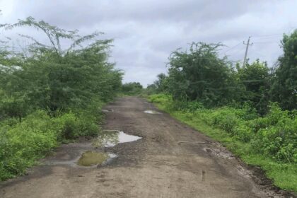 ತಗ್ಗು ಗುಂಡಿಗಳಿಂದ ವಾಹನ ಸಂಚಾರ ಸ್ಥಗಿತ: ಮೋಹನ್ ಚಿನ್ನ ಆಕ್ರೋಶ