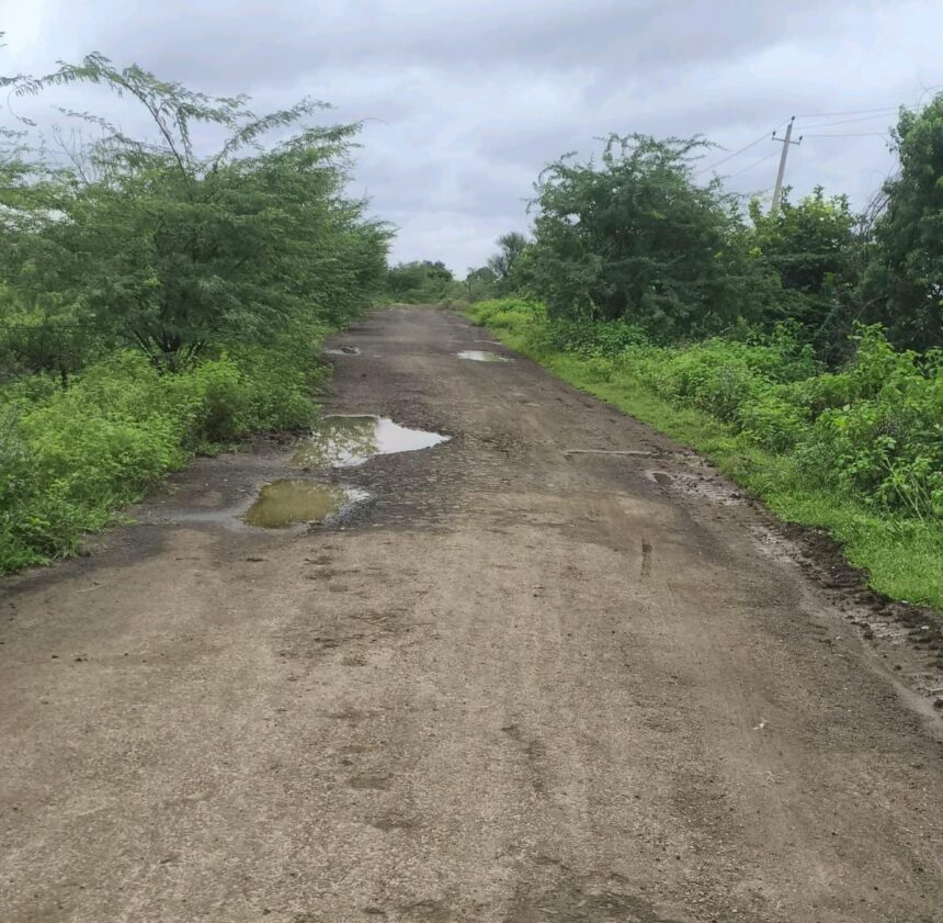 ತಗ್ಗು ಗುಂಡಿಗಳಿಂದ ವಾಹನ ಸಂಚಾರ ಸ್ಥಗಿತ: ಮೋಹನ್ ಚಿನ್ನ ಆಕ್ರೋಶ ತಗ್ಗು ಗುಂಡಿಗಳಿಂದ ವಾಹನ ಸಂಚಾರ ಸ್ಥಗಿತ: ಮೋಹನ್ ಚಿನ್ನ ಆಕ್ರೋಶ