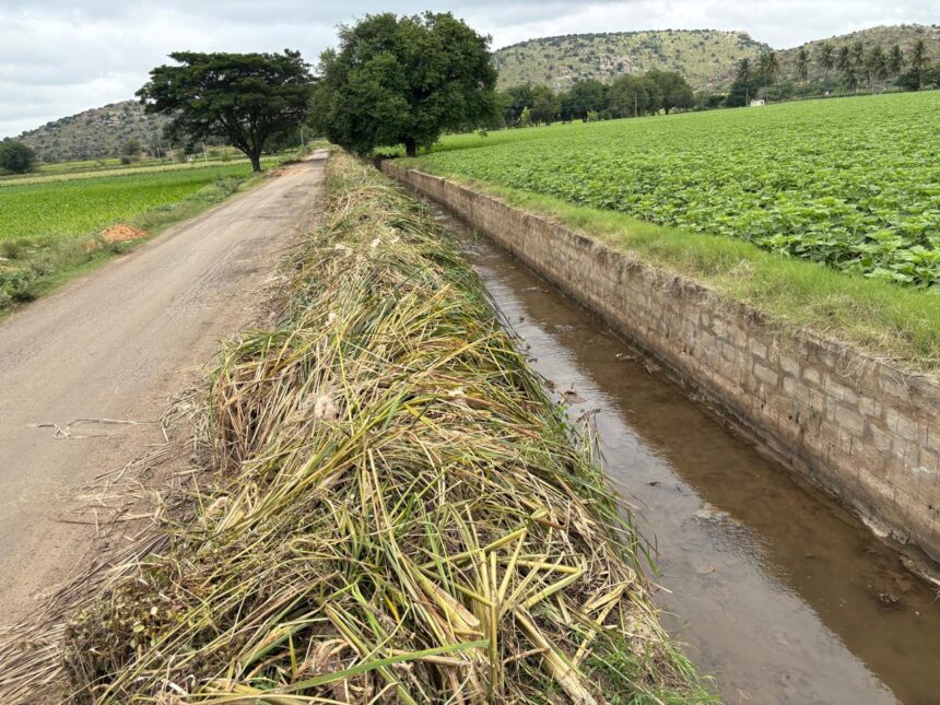 ಕಾಲುವೆಯ ಕಲ್ಲು ಮಣ್ಣು ಹೂಳನ್ನು ತೆಗೆದು ರಸ್ತೆಗೆ ಹಾಕಿದ ರೈತ! ಕಾಲುವೆಯ ಕಲ್ಲು ಮಣ್ಣು ಹೂಳನ್ನು ತೆಗೆದು ರಸ್ತೆಗೆ ಹಾಕಿದ ರೈತ!
