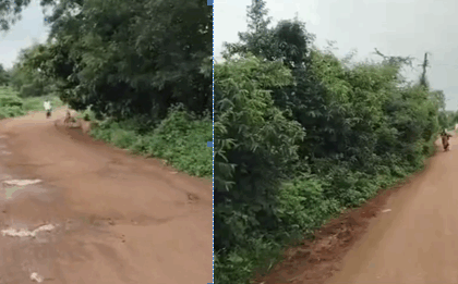 ರಸ್ತೆಗೆ ಬಾಗಿದ ಗಿಡ-ಗಂಟಿ ಸಂಚಾರಕ್ಕೆ ತೊಂದರೆ