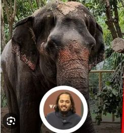 ಶಿರೋಳದಲ್ಲಿ ಮಹಾದೇವಿ ( ಮಾಧುರಿ) ಯದೇ ಚರ್ಚೆ