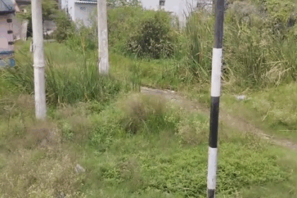 ಚಿಕನ್ ಗುನ್ಯಾ, ಡೇಘು, ನಂತಹ ಸಾಂಕ್ರಾಮಿಕ ರೋಗಗಳಿಗೆ ಆಹ್ವಾನ