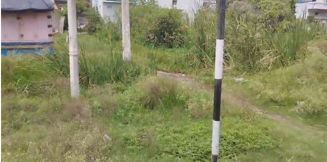 ಚಿಕನ್ ಗುನ್ಯಾ, ಡೇಘು, ನಂತಹ ಸಾಂಕ್ರಾಮಿಕ ರೋಗಗಳಿಗೆ ಆಹ್ವಾನ ಚಿಕನ್ ಗುನ್ಯಾ, ಡೇಘು, ನಂತಹ ಸಾಂಕ್ರಾಮಿಕ ರೋಗಗಳಿಗೆ ಆಹ್ವಾನ