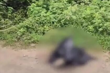 ರಸ್ತೆ ಯುದ್ಧಕ್ಕೂ ಬಿದ್ದ ಅಪರಿಚಿತ ಶವದ ತುಂಡುಗಳು