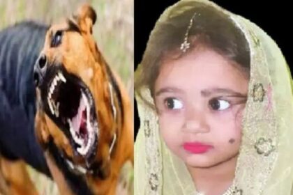 ಬೀದಿ ನಾಯಿ ಕಡತದಿಂದ ರೇಬೀಸ್ : ಬಾಲಕಿ ಸಾವು 