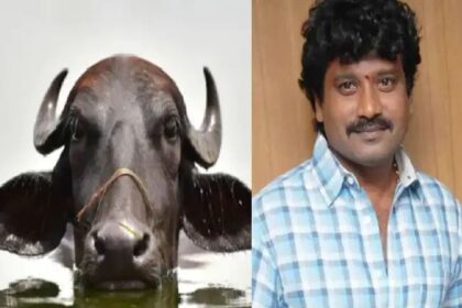 ಎಮ್ಮೆ ಕೊಡಿಸುವುದಾಗಿ ಖ್ಯಾತ ನಿರ್ದೇಶಕ ಪ್ರೇಮ್ ಗೆ 4.5 ಲಕ್ಷ ರೂ ವಂಚನೆ