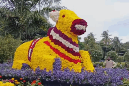 ಮೈಸೂರು ದಸರಾ ಫಲ ಪುಷ್ಪ ಪ್ರದರ್ಶನ 