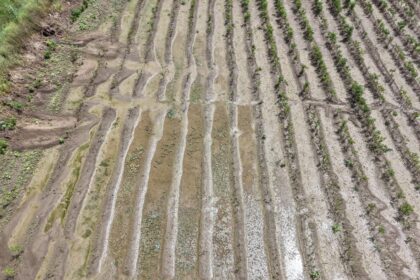 ರೈತರ ಬೆಳೆ ಹಾನಿಯಾದರು ಚಿರ ನಿದ್ರೆಗೆ ಜಾರಿದ ಅಧಿಕಾರಿಗಳು