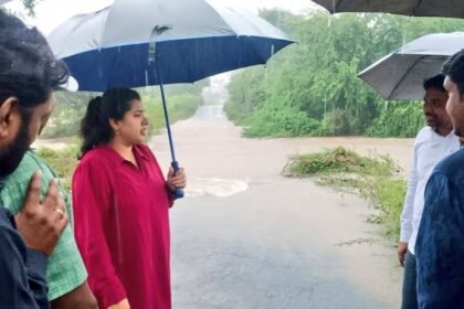 ದಸ್ತಾಪುರ, ಮಹಾಗಾಂವ್ ಸೇತುವೆಗಳಿಗೆ ಜಿಲ್ಲಾಧಿಕಾರಿ ಭೇಟಿ: ಪರಿಶೀಲನೆ