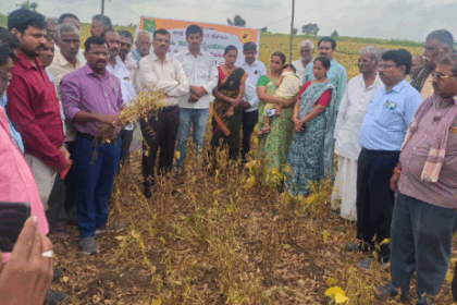 ಎಣ್ಣೆಕಾಳು ಬೆಳೆಗಳ ಸಮಗ್ರ ನಿರ್ವಹಣೆ ಕುರಿತು ತರಬೇತಿ
