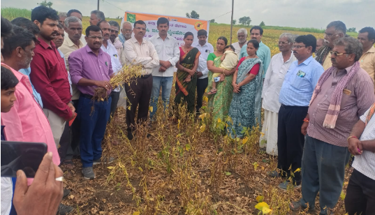 ಎಣ್ಣೆಕಾಳು ಬೆಳೆಗಳ ಸಮಗ್ರ ನಿರ್ವಹಣೆ ಕುರಿತು ತರಬೇತಿ