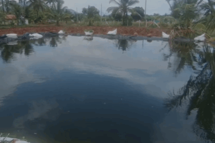 ಕೃಷಿ ಹೊಂಡಕ್ಕೆ ಬಿದ್ದು ಎರಡು ಕಂದಮ್ಮ ಸಾವು