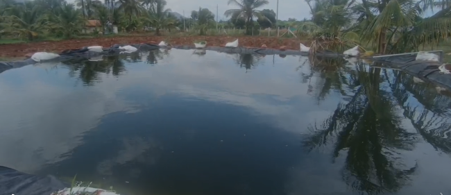 ಕೃಷಿ ಹೊಂಡಕ್ಕೆ ಬಿದ್ದು ಎರಡು ಕಂದಮ್ಮ ಸಾವು ಕೃಷಿ ಹೊಂಡಕ್ಕೆ ಬಿದ್ದು ಎರಡು ಕಂದಮ್ಮ ಸಾವು