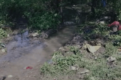 ಡ್ರೈವರ್ ಕಾಲೋನಿಗೆ ಕಂಟಕವಾದ ಕೆರೆ, ಹುಳು ಹುಪ್ಪಟೆಯಲ್ಲೇ ಜೀವನ