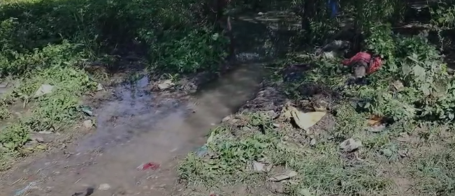 ಡ್ರೈವರ್ ಕಾಲೋನಿಗೆ ಕಂಟಕವಾದ ಕೆರೆ, ಹುಳು ಹುಪ್ಪಟೆಯಲ್ಲೇ ಜೀವನ ಡ್ರೈವರ್ ಕಾಲೋನಿಗೆ ಕಂಟಕವಾದ ಕೆರೆ, ಹುಳು ಹುಪ್ಪಟೆಯಲ್ಲೇ ಜೀವನ