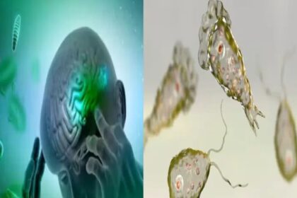 ದೇಶಕ್ಕೆ ಮತ್ತೊಂದು ಅಪಾಯಕಾರಿ ವೈರಸ್ : 18 ಜನ ಸಾವು, 67 ಕೇಸ್ ಪತ್ತೆ