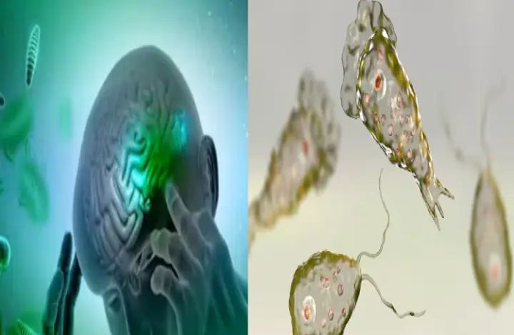 ದೇಶಕ್ಕೆ ಮತ್ತೊಂದು ಅಪಾಯಕಾರಿ ವೈರಸ್ : 18 ಜನ ಸಾವು, 67 ಕೇಸ್ ಪತ್ತೆ ದೇಶಕ್ಕೆ ಮತ್ತೊಂದು ಅಪಾಯಕಾರಿ ವೈರಸ್ : 18 ಜನ ಸಾವು, 67 ಕೇಸ್ ಪತ್ತೆ