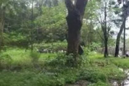 ಧರ್ಮಸ್ಥಳದ ಬಂಗ್ಲಗುಡ್ಡ ಪ್ರದೇಶದಲ್ಲಿ ಐದು ಕಡೆ ರಾಶಿ ರಾಶಿ ಮೂಳೆಗಳು ಪತ್ತೆ