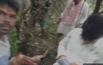 ಪಾಖಲ ಗ್ರಾಮದಲ್ಲಿ ಸಾಕು ಪ್ರಾಣಿ ಹಸುವಿನ ಮೇಲೆ ಚಿರತೆ ದಾಳಿ