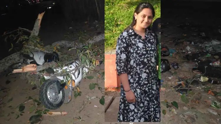 ಬೃಹತ್ ಗಾತ್ರದ ಮರ ಬಿದ್ದು ಯುವತಿ ಸ್ಥಳದಲ್ಲೇ ಸಾವು ಬೃಹತ್ ಗಾತ್ರದ ಮರ ಬಿದ್ದು ಯುವತಿ ಸ್ಥಳದಲ್ಲೇ ಸಾವು