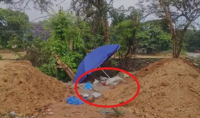 ಮೈಸೂರು ದಸರಾಗೆ ಬಲೂನ್ ಮಾರಲು ಬಂದಿದ್ದ ಬಾಲಕಿ ಶವ ಪತ್ತೆ : ಅತ್ಯಾಚಾರ & ಕೊಲೆ ಶಂಕೆ