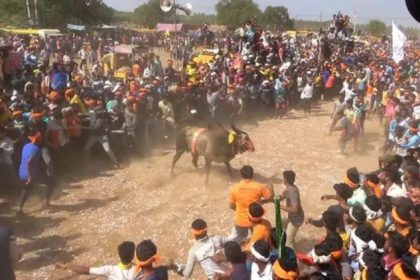 ಹೋರಿ ಬೆದರಿಸುವ ಸ್ಪರ್ಧೆಯಲ್ಲಿ ಹೋರಿ ತಿವಿದು ಮೂವರು ಸಾವು 