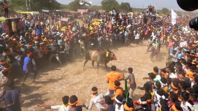 ಹೋರಿ ಬೆದರಿಸುವ ಸ್ಪರ್ಧೆಯಲ್ಲಿ ಹೋರಿ ತಿವಿದು ಮೂವರು ಸಾವು ಹೋರಿ ಬೆದರಿಸುವ ಸ್ಪರ್ಧೆಯಲ್ಲಿ ಹೋರಿ ತಿವಿದು ಮೂವರು ಸಾವು