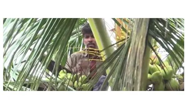 ಕಳ್ಳ ಎಂದು ಭಾವಿಸಿ ಅಟ್ಟಾಡಿಸಿದ ಗ್ರಾಮಸ್ಥರು : ಹೆದರಿ ಮರವೇರಿದ ವ್ಯಕ್ತಿ 