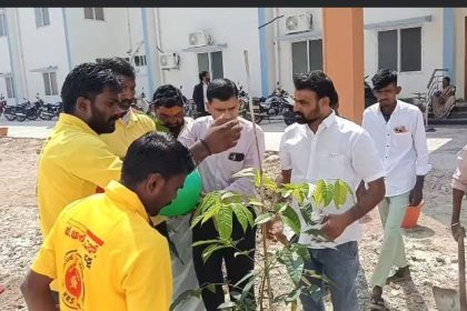 ಸಾಲುಮರದ ತಿಮ್ಮಕ್ಕ ಸ್ಮರಣಾರ್ಥ KRS ಪಕ್ಷದಿಂದ ಸಸಿ ನೆಡುವ ಕಾರ್ಯಕ್ರಮ