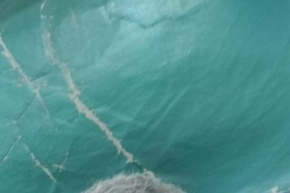 ಮೃತ ವೃದ್ಧೆ ವಿಳಾಸ ಪತ್ತೆಗೆ ಮನವಿ