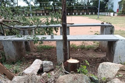 ಶಾಲಾ ಆವರಣದಲ್ಲಿ ಗಂಧದ ಮರ ಕದ್ದೊಯ್ದ ಕಳ್ಳರು