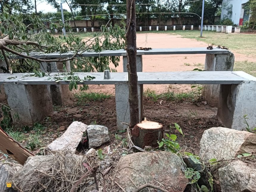 ಶಾಲಾ ಆವರಣದಲ್ಲಿ ಗಂಧದ ಮರ ಕದ್ದೊಯ್ದ ಕಳ್ಳರು ಶಾಲಾ ಆವರಣದಲ್ಲಿ ಗಂಧದ ಮರ ಕದ್ದೊಯ್ದ ಕಳ್ಳರು