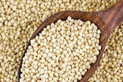 ಬಿಳಿ ಜೋಳಕ್ಕೆ ಬೆಂಬಲ ಬೆಲೆ ಘೋಷಿಸಿದ ಕೇಂದ್ರ ಸರ್ಕಾರ