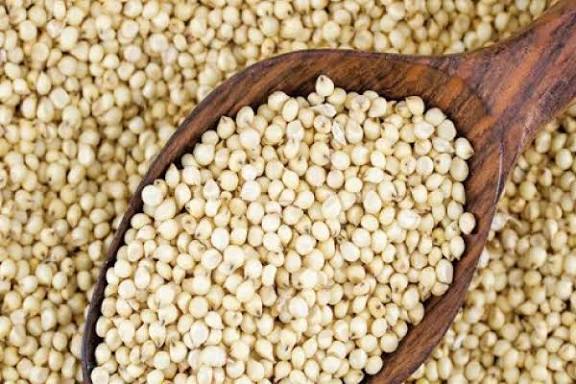 ಬಿಳಿ ಜೋಳಕ್ಕೆ ಬೆಂಬಲ ಬೆಲೆ ಘೋಷಿಸಿದ ಕೇಂದ್ರ ಸರ್ಕಾರ