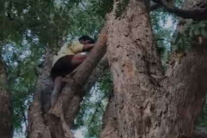 ಕುಡುಕನ ಅವಾಂತರ:ಕುಡಿಯಲು ದುಡ್ದು ಕೊಡಲಿಲ್ಲ ಅನ್ನೋ ಕಾರಣಕ್ಕೆ ಮರವೇರಿ ಕುಳಿತ ಕುಡುಕ