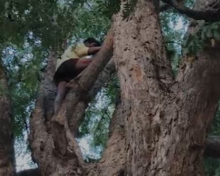 ಕುಡುಕನ ಅವಾಂತರ:ಕುಡಿಯಲು ದುಡ್ದು ಕೊಡಲಿಲ್ಲ ಅನ್ನೋ ಕಾರಣಕ್ಕೆ ಮರವೇರಿ ಕುಳಿತ ಕುಡುಕ ಕುಡುಕನ ಅವಾಂತರ:ಕುಡಿಯಲು ದುಡ್ದು ಕೊಡಲಿಲ್ಲ ಅನ್ನೋ ಕಾರಣಕ್ಕೆ ಮರವೇರಿ ಕುಳಿತ ಕುಡುಕ