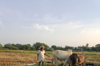 ಭತ್ತ ರಾಶಿಯಲ್ಲಿ ರೈತರು