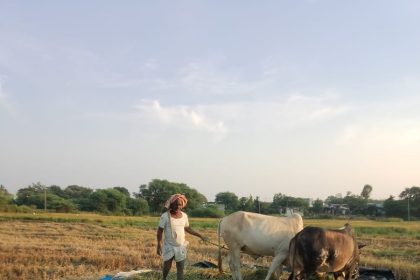 ಭತ್ತ ರಾಶಿಯಲ್ಲಿ ರೈತರು